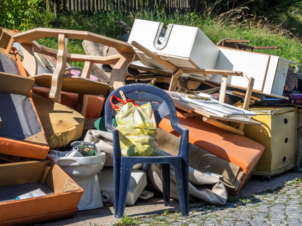 Best Dumpster Rental Services  in San Pasqual, CA