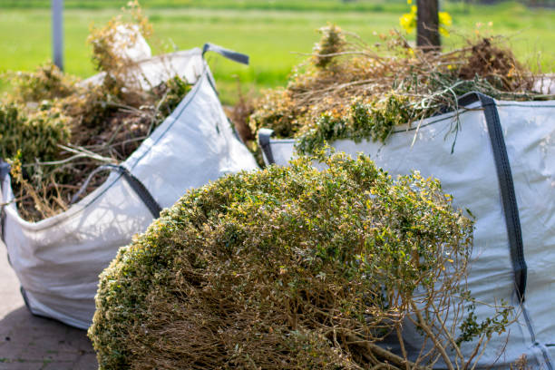 Best Yard Cleanup Services  in San Pasqual, CA