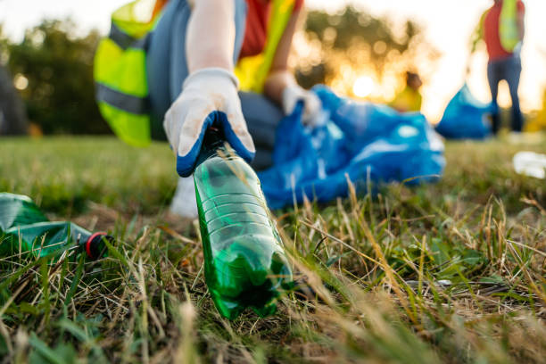 Best Yard Waste Removal  in San Pasqual, CA